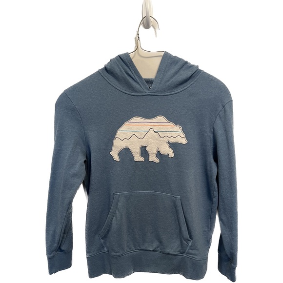 Patagonia Other - patagonia Kids' Lightweight Graphic Hoody Sweatshirt bear cotton blue fall